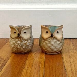 Owl Ceramic Planter Pot with drainage holes